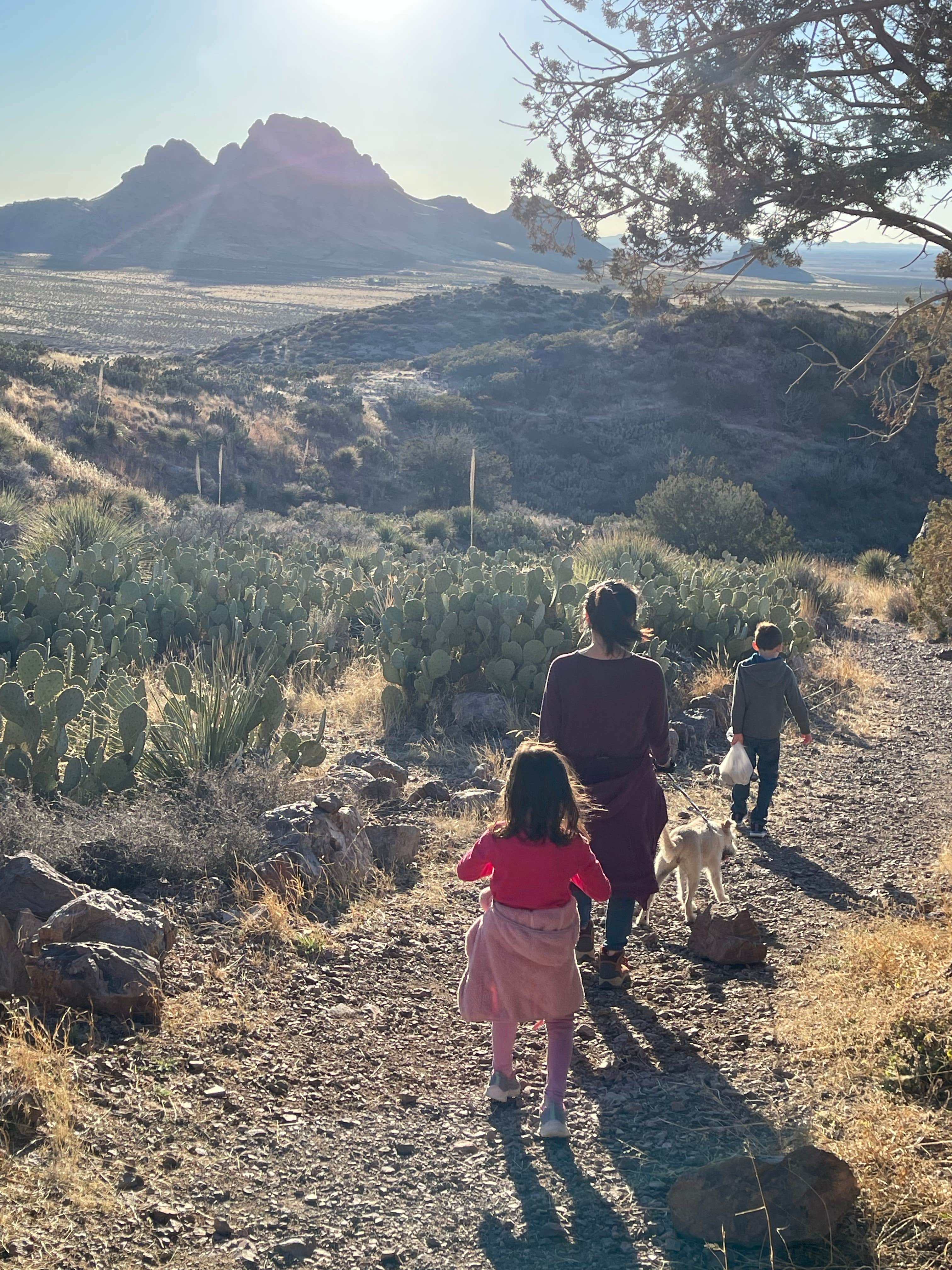 Greg T.'s photo of camping with pets at Rockhound State Park Campground near Las Cruces, NM