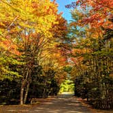 Review photo of Bar Harbor Campground by Shari  G., October 22, 2018