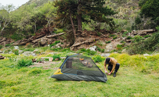 G W.'s photo of tent camping at A Place to Stay in Big Sur near Bradley, CA