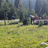 Review photo of Timber Creek Campground — Rocky Mountain National Park by Anthony N., July 7, 2023