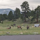 Review photo of Glacier Basin Campground — Rocky Mountain National Park by Anthony N., June 3, 2023
