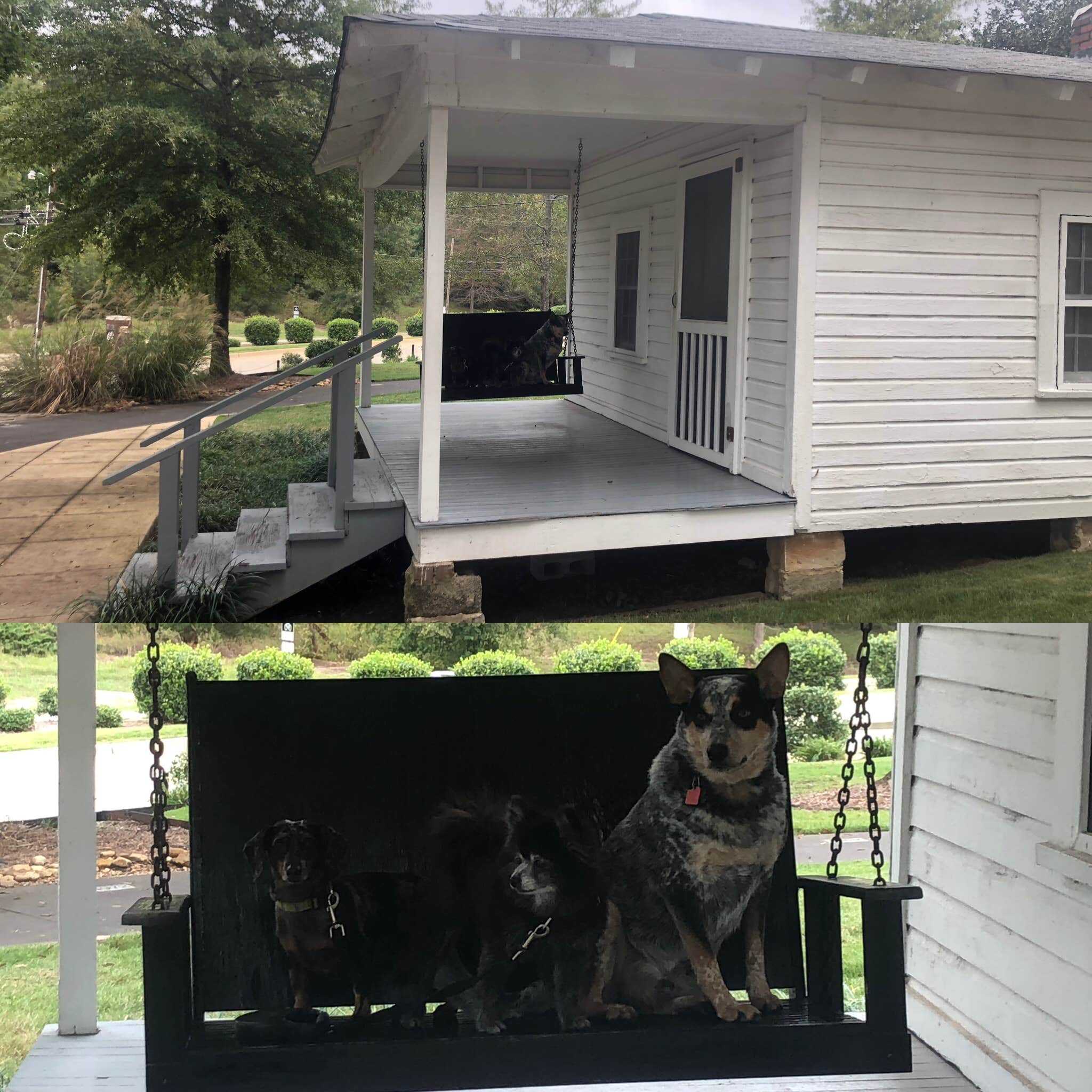 Shelly S.'s photo of camping with pets at Trace State Park Campground near Tupelo, MS