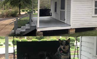 Shelly S.'s photo of camping with pets at Trace State Park Campground near Oxford, MS