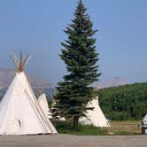 Review photo of Glacier Grizzly Resort- RV, Tent Site & TIPI - PERMANENTLY CLOSED by Mary , July 7, 2023