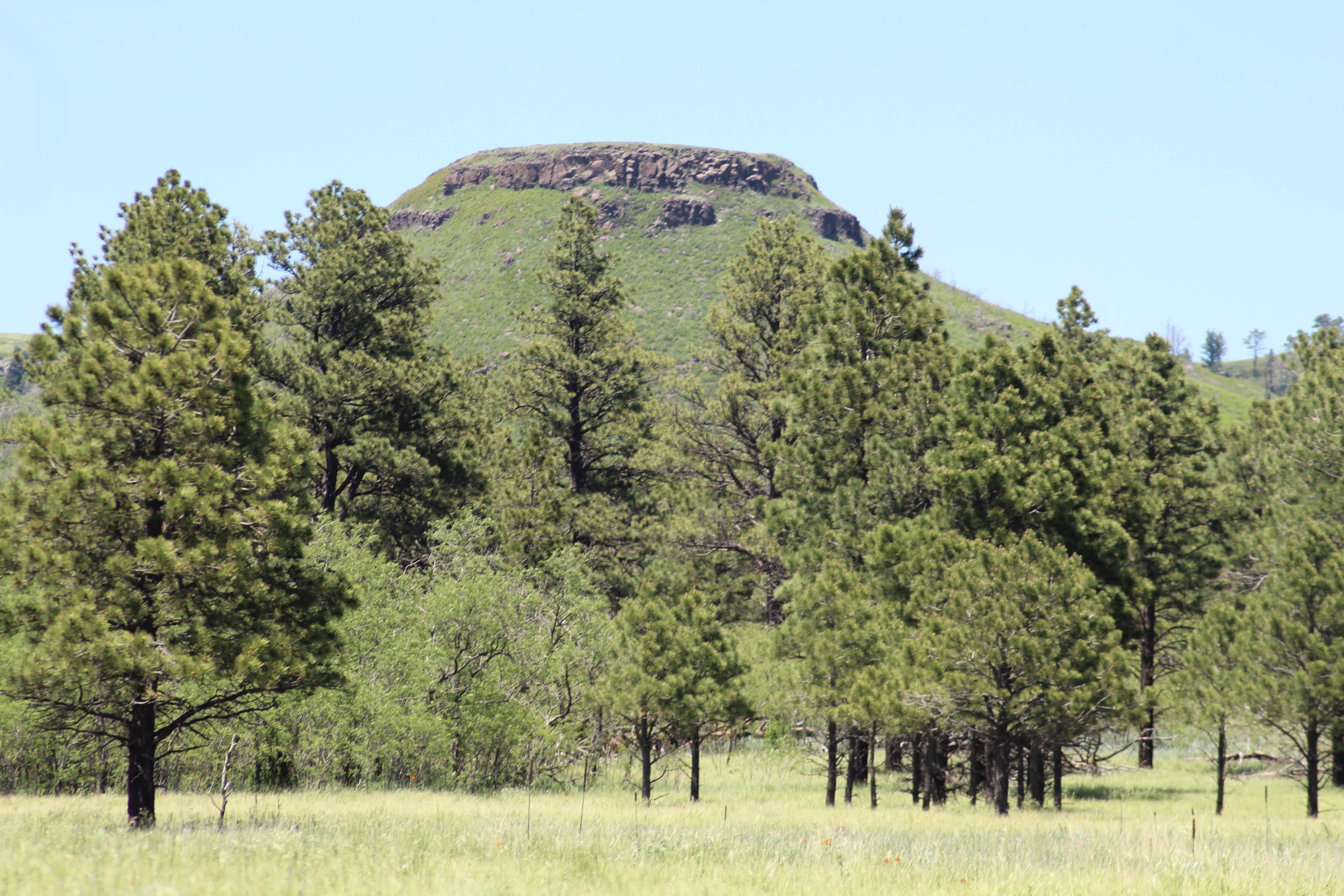Camper-submitted photo at Soda Pocket Campground — Sugarite Canyon State Park near Trinidad, CO