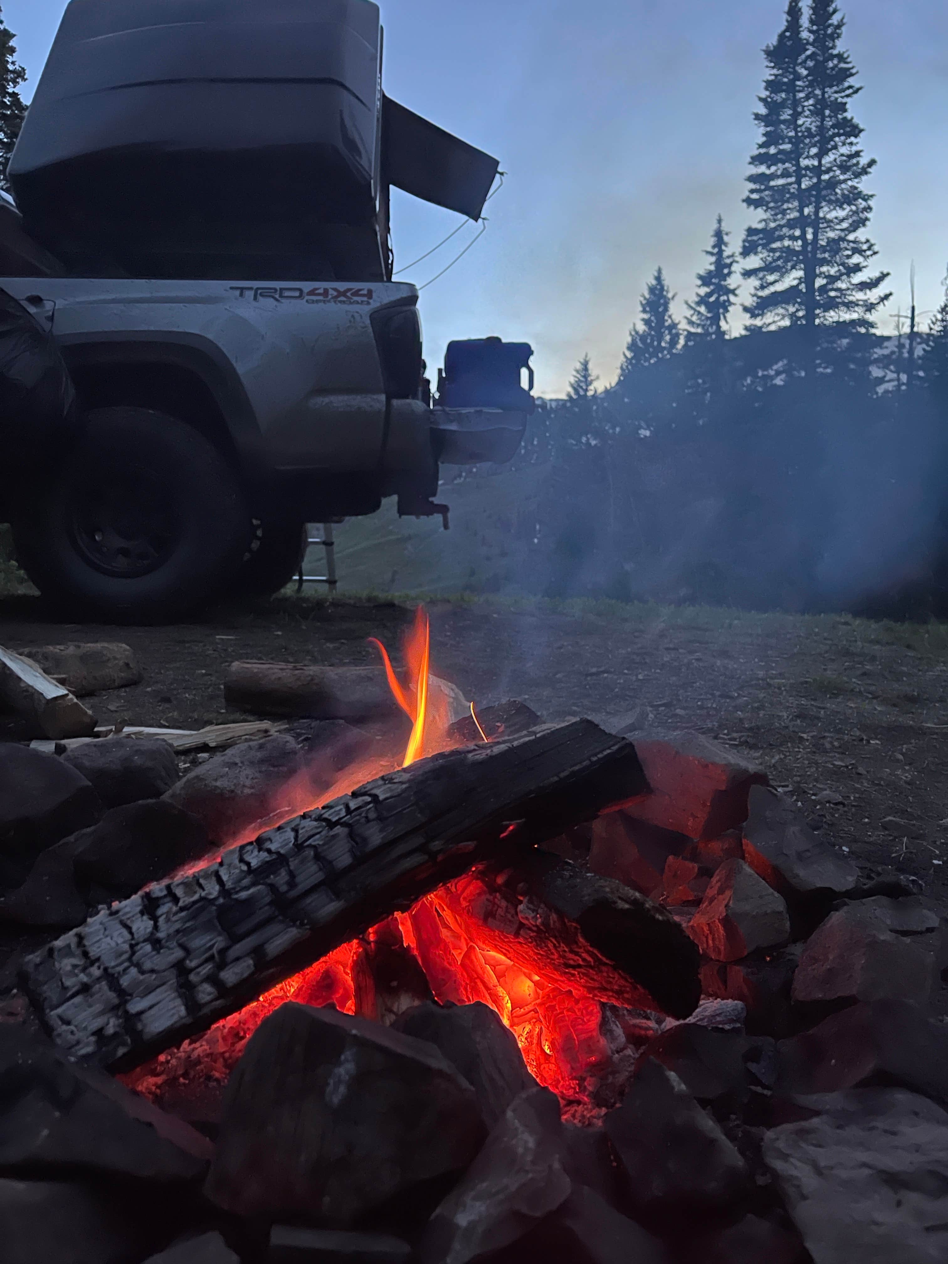 Camper submitted image from Kebler Pass Designated Dispersed - 4