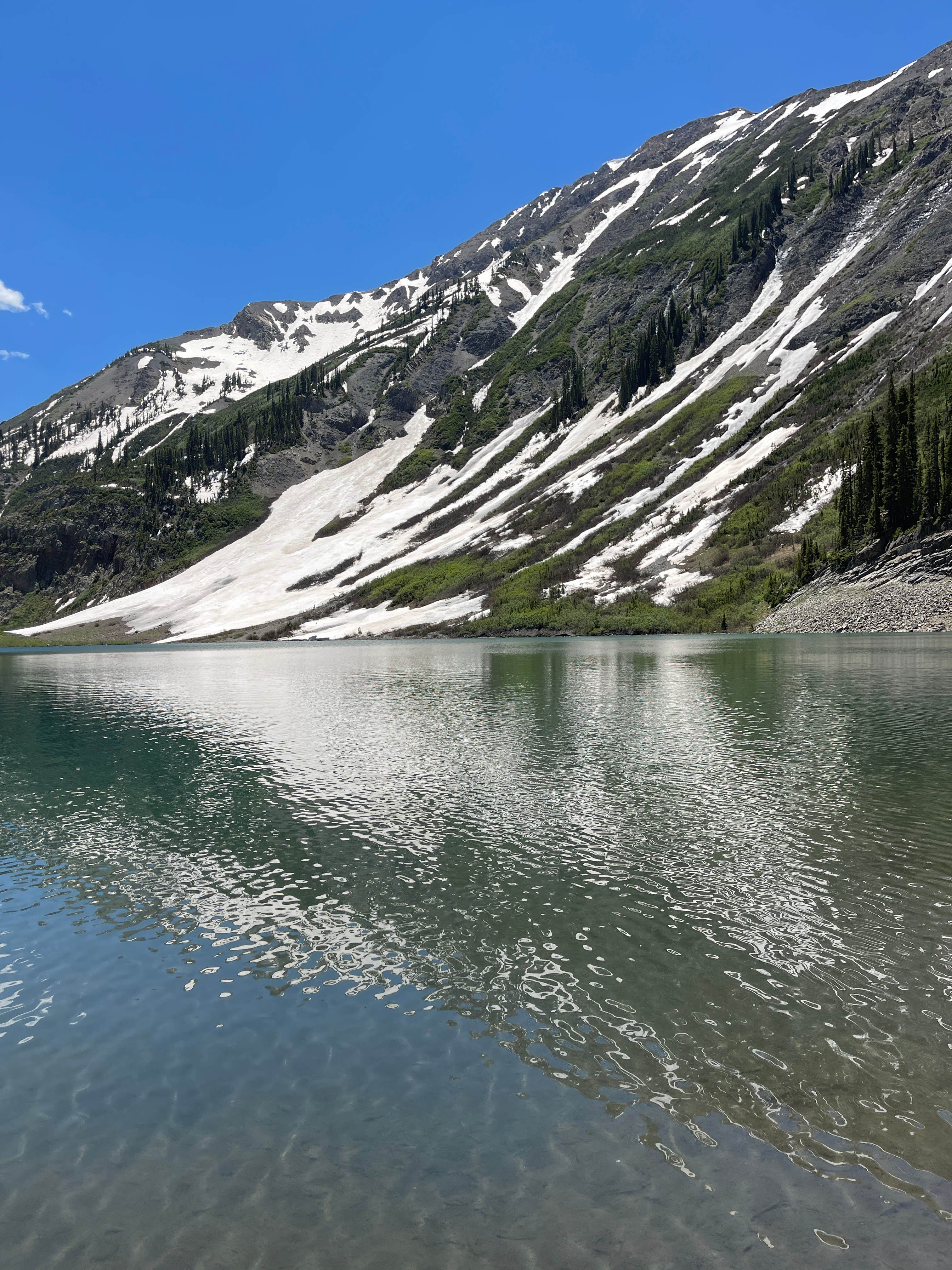 Cameron B.'s photo of a dispersed camping area at Paradise Divide Dispersed Camping - NO LONGER DISPERSED near Snowmass Village, CO