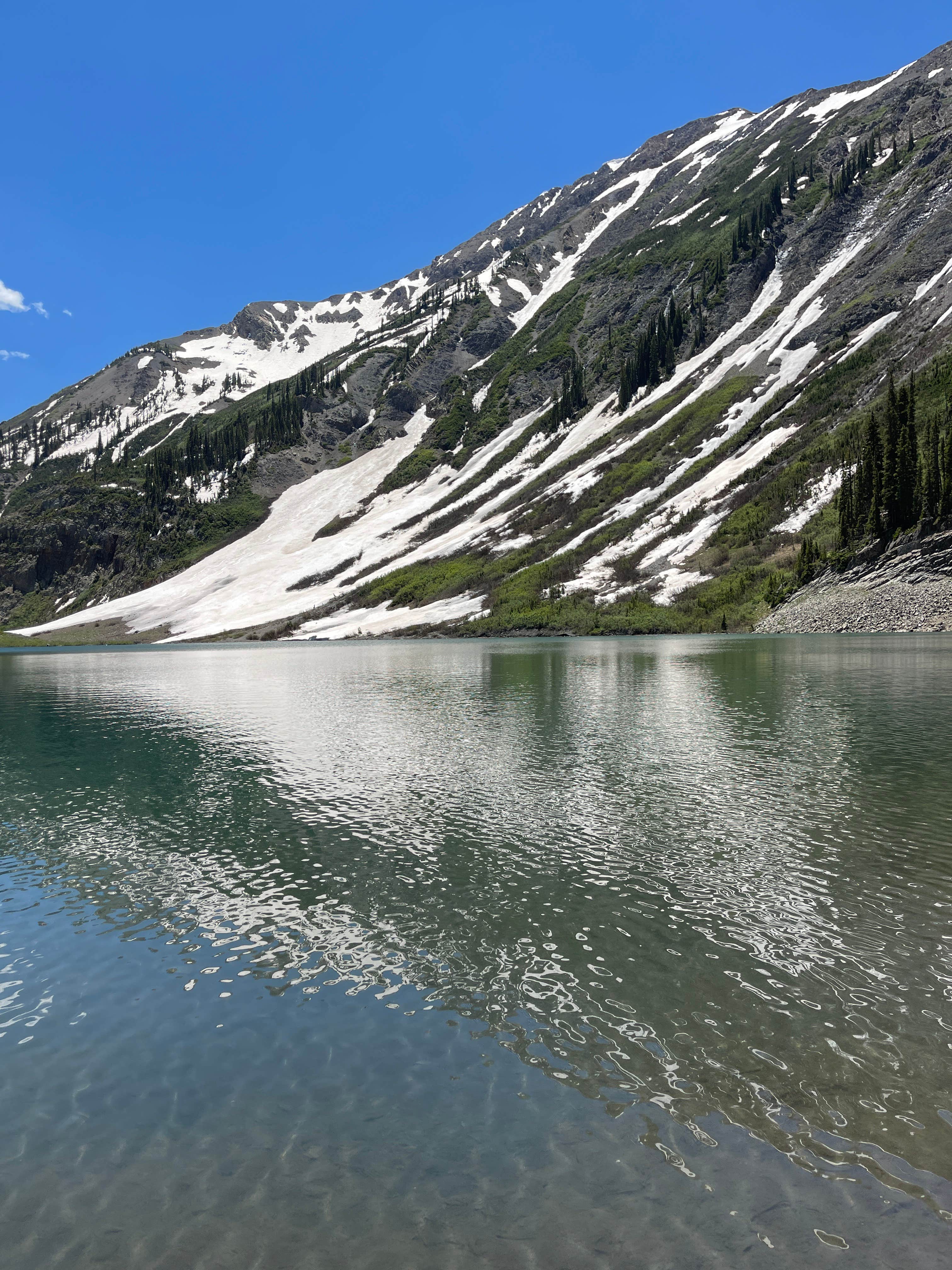 Camper submitted image from Paradise Divide Dispersed Camping - 4