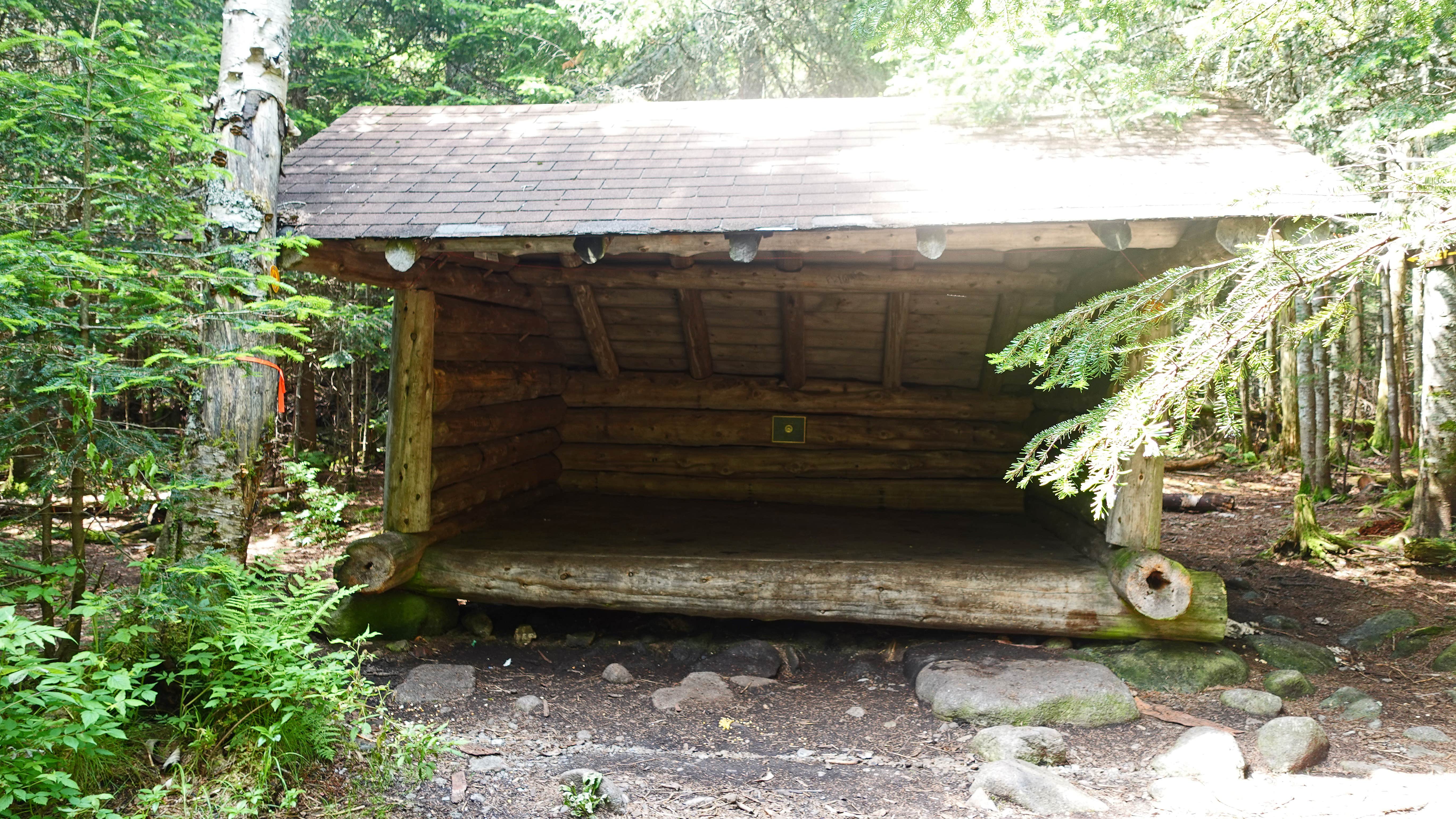 Camper-submitted photo at Feldspar Lean-to near Rainbow Lake, NY
