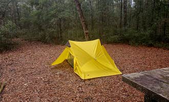 Camping near Elmwood Recreation Area: Honey Hill Campground, McClellanville, South Carolina