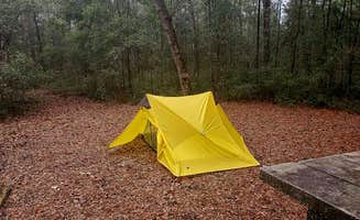 Alex R.'s photo at Honey Hill Campground near Bonneau, SC