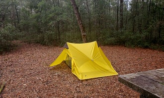 Camping near Buck Hall Recreation Area: Honey Hill Campground, McClellanville, South Carolina
