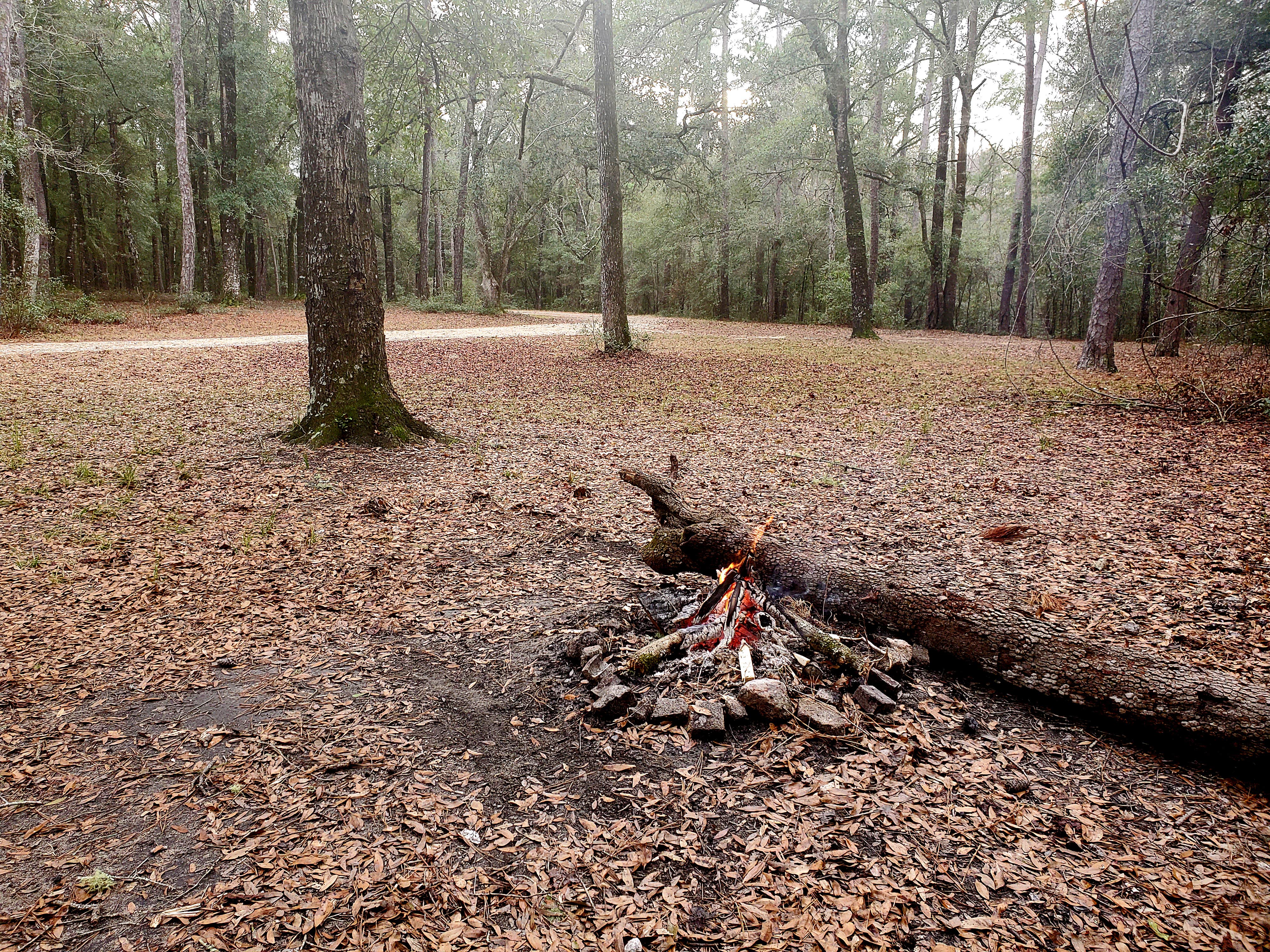 Camper-submitted photo at Honey Hill Campground near Charleston, SC