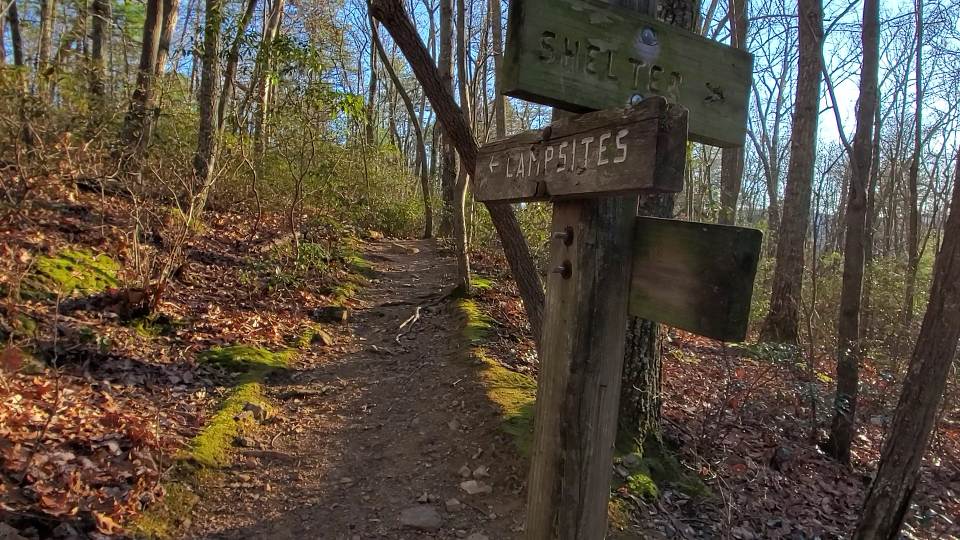 Review photo of Catawba mountain shelter by Alex R., July 7, 2023