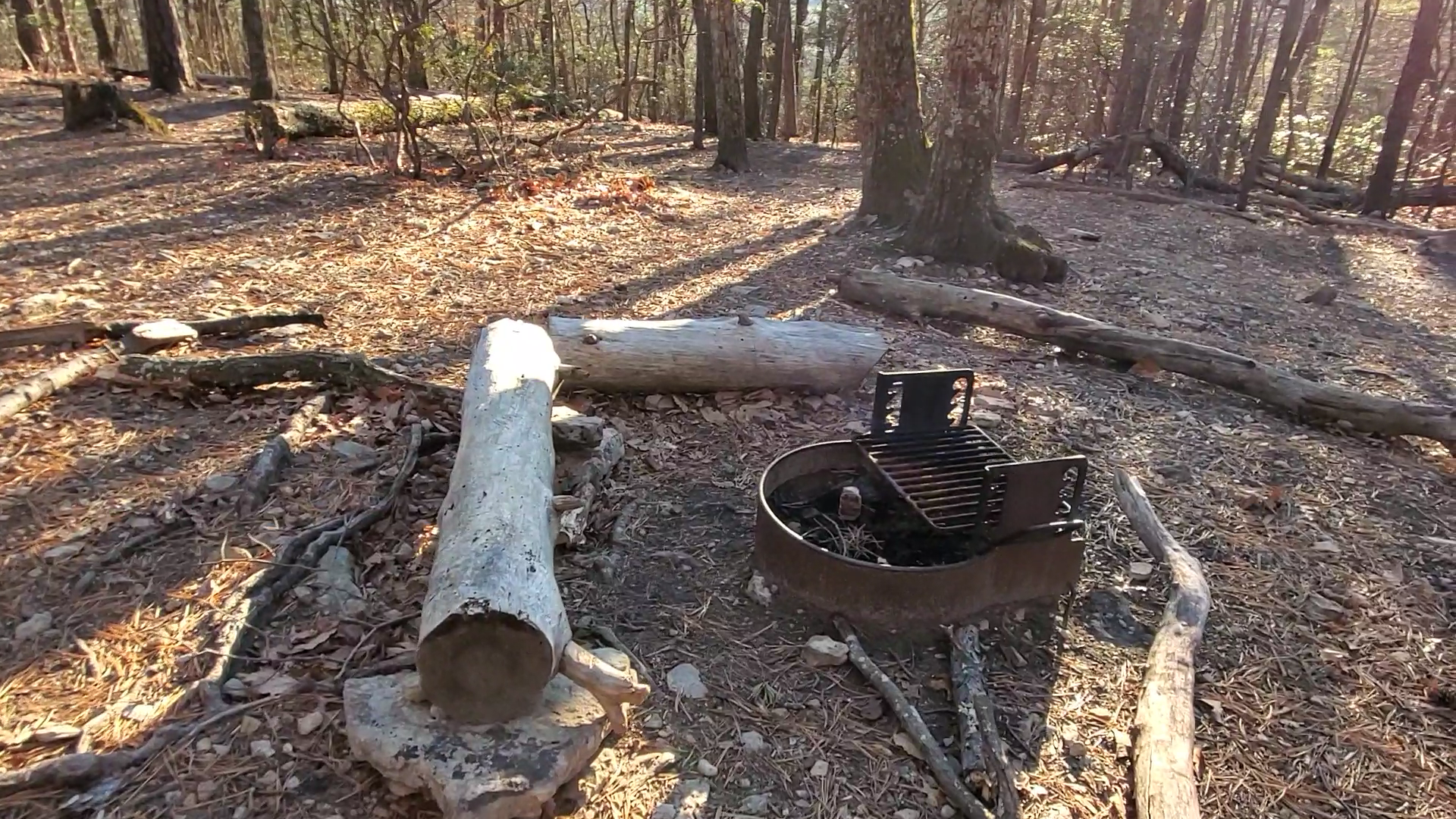 Review photo of Catawba mountain shelter by Alex R., July 7, 2023