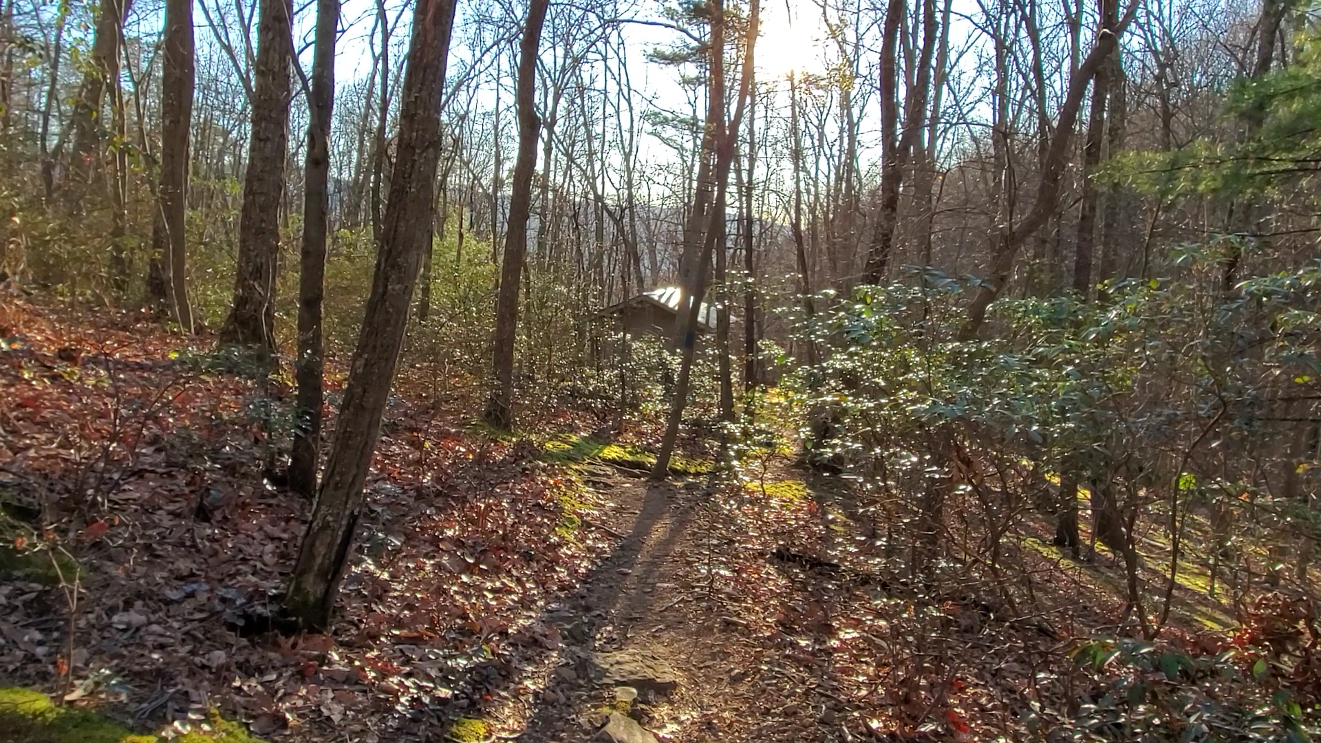 Camper submitted image from Catawba mountain shelter - 1