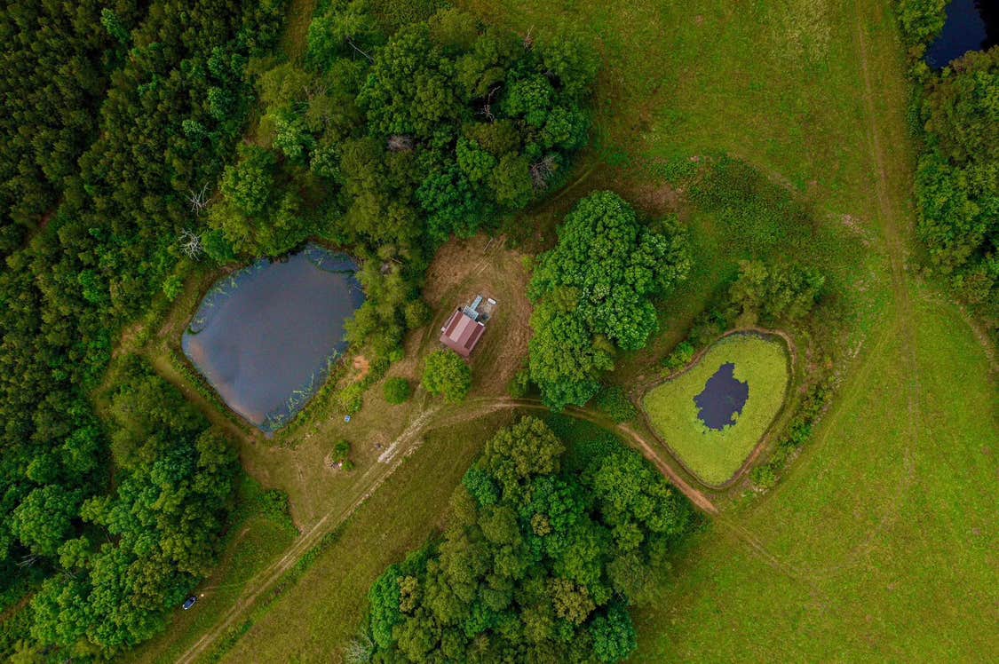 Camper-submitted photo at Black Willow Farm near Crossville, TN