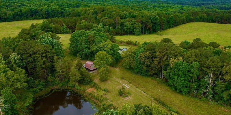 Camper submitted image from Black Willow Farm