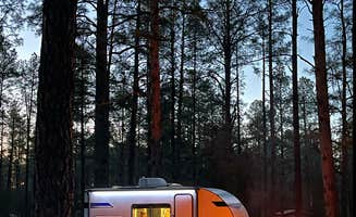 Greg T.'s photo of rv camping at Sapillo Dispersed Camping Area near Arenas Valley, NM