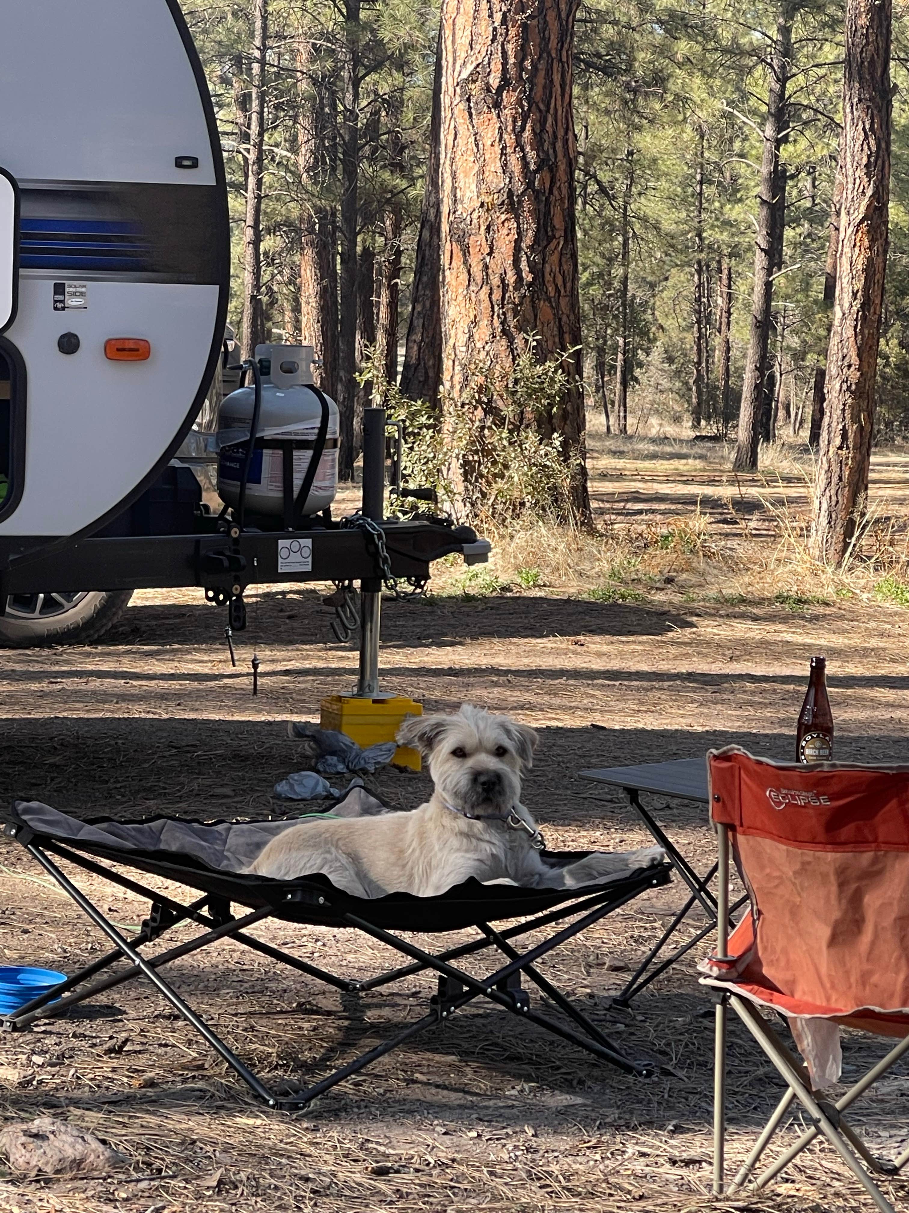 Camper submitted image from Sapillo Dispersed Camping Area - 3