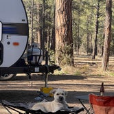 Review photo of Sapillo Dispersed Camping Area by Greg T., July 7, 2023