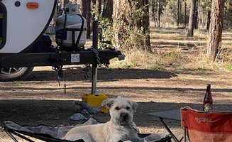 Greg T.'s photo of rv camping at Sapillo Dispersed Camping Area near Cliff, NM