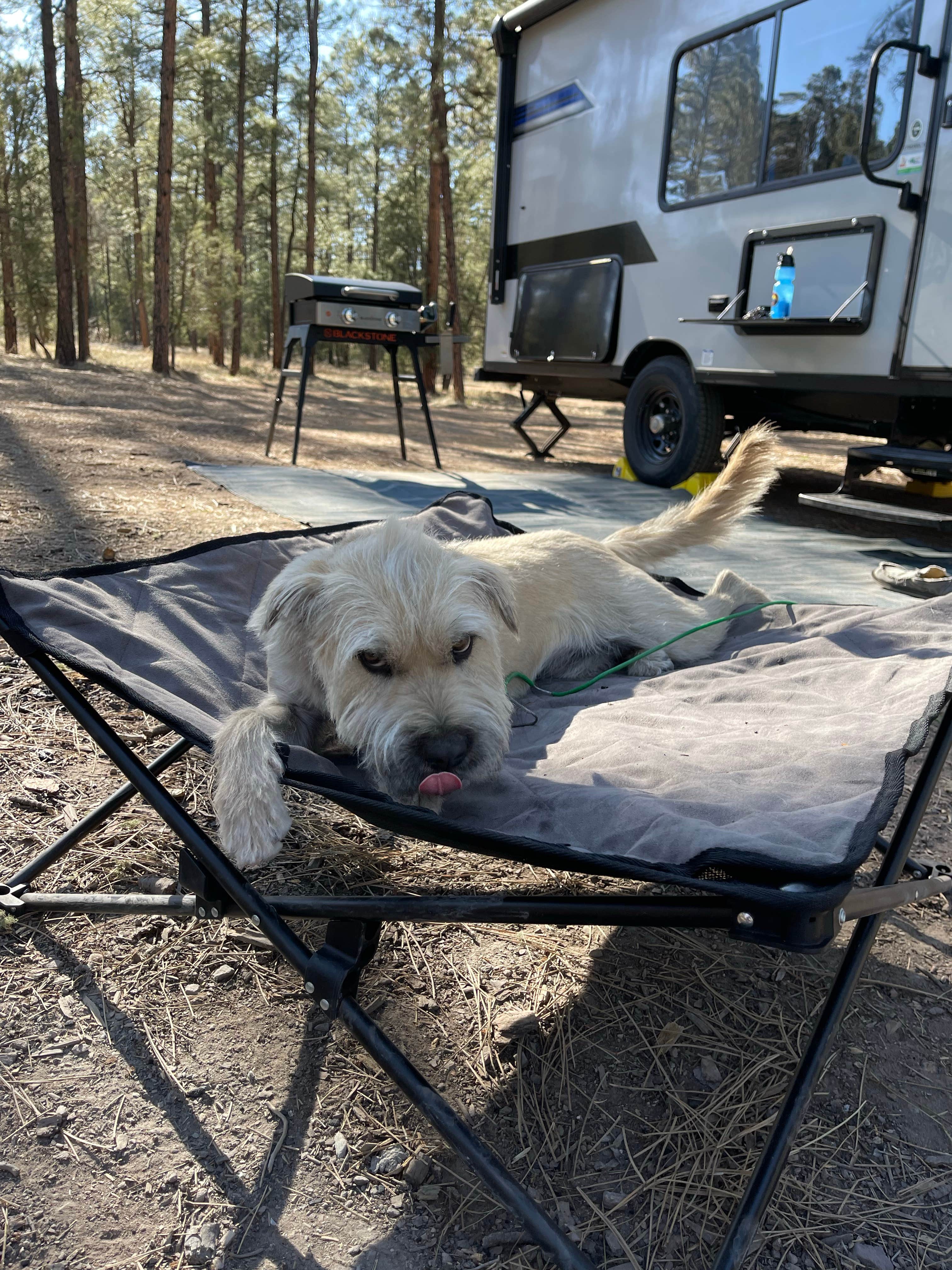 Greg T.'s photo of rv camping at Sapillo Dispersed Camping Area near Gila National Forest