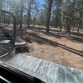 Review photo of Sapillo Dispersed Camping Area by Greg T., July 7, 2023