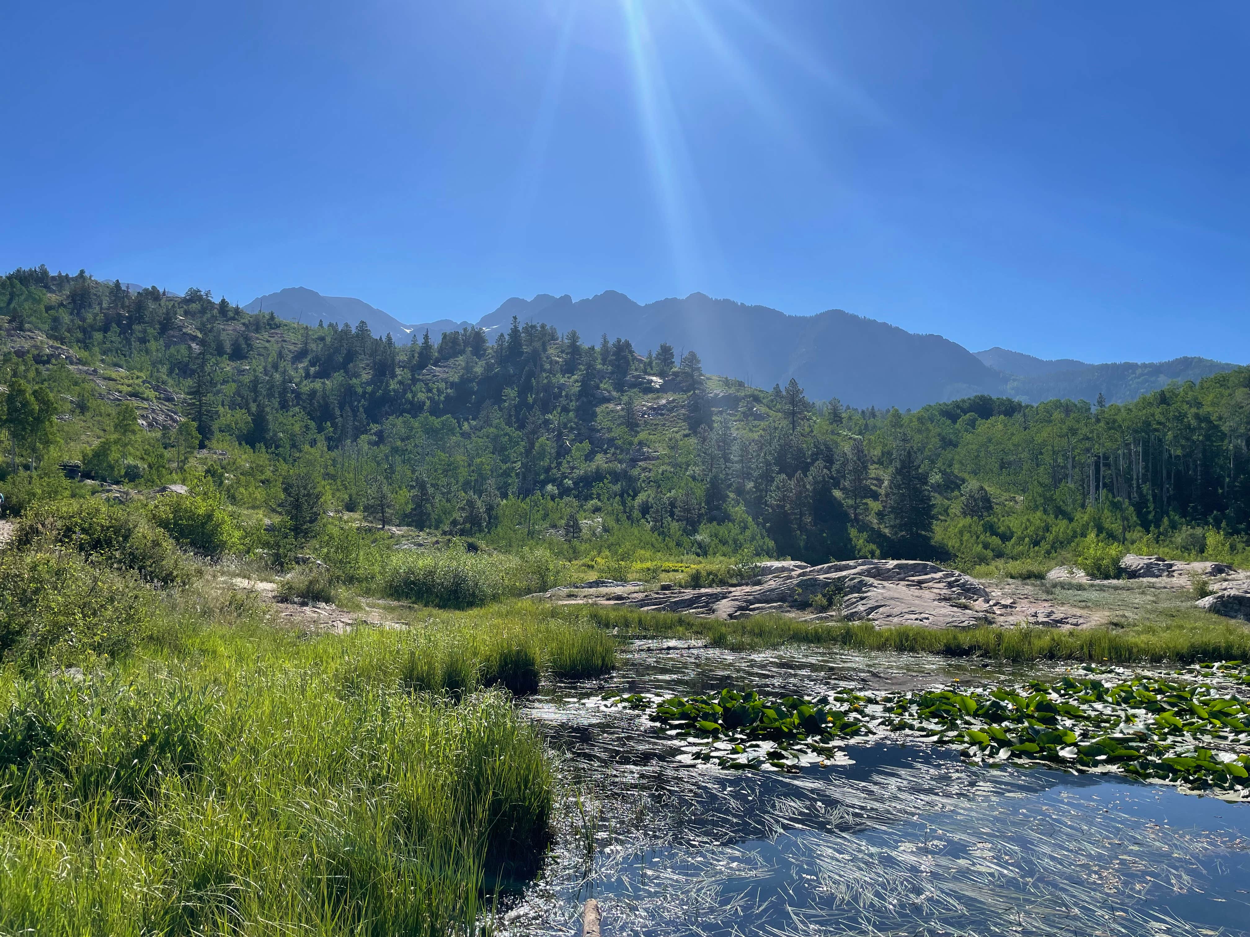 Camper-submitted photo at Lime Creek - Dispersed Sites near Purgatory, CO