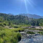 Review photo of Lime Creek - Dispersed Sites by Lara S., July 7, 2023