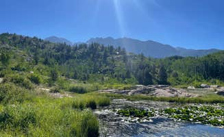 Lara S.'s photo of a dispersed camping area at Lime Creek - Dispersed Sites near Silverton, CO