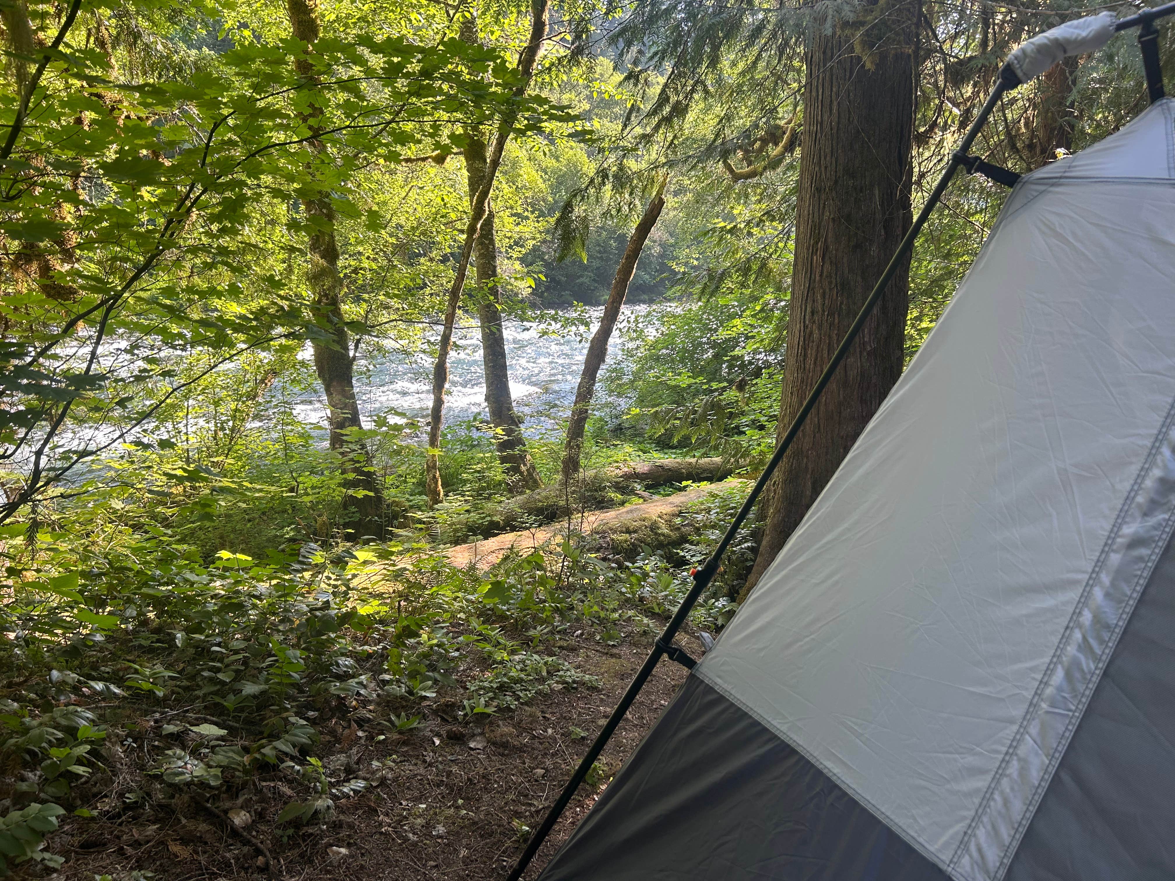 Caitlyn P.'s photo at Paradise In Oregon near Deschutes National Forest