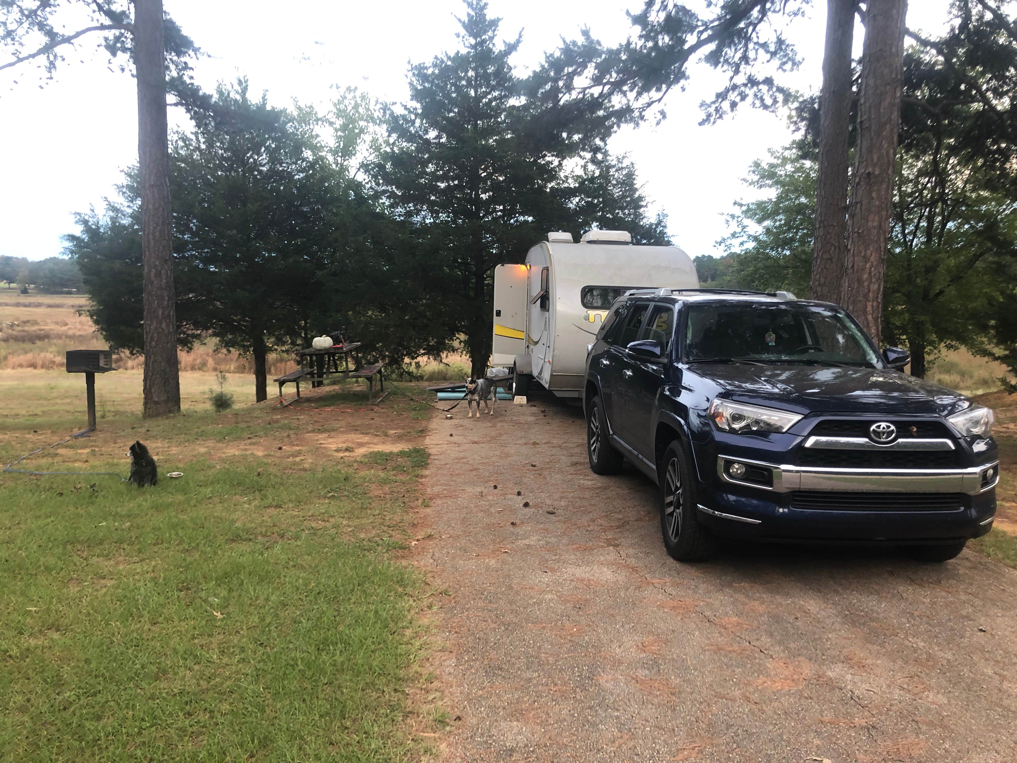 The boys are ready to camp