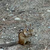 Review photo of Bear Brook State Park Campground by Chantrea P., July 8, 2023