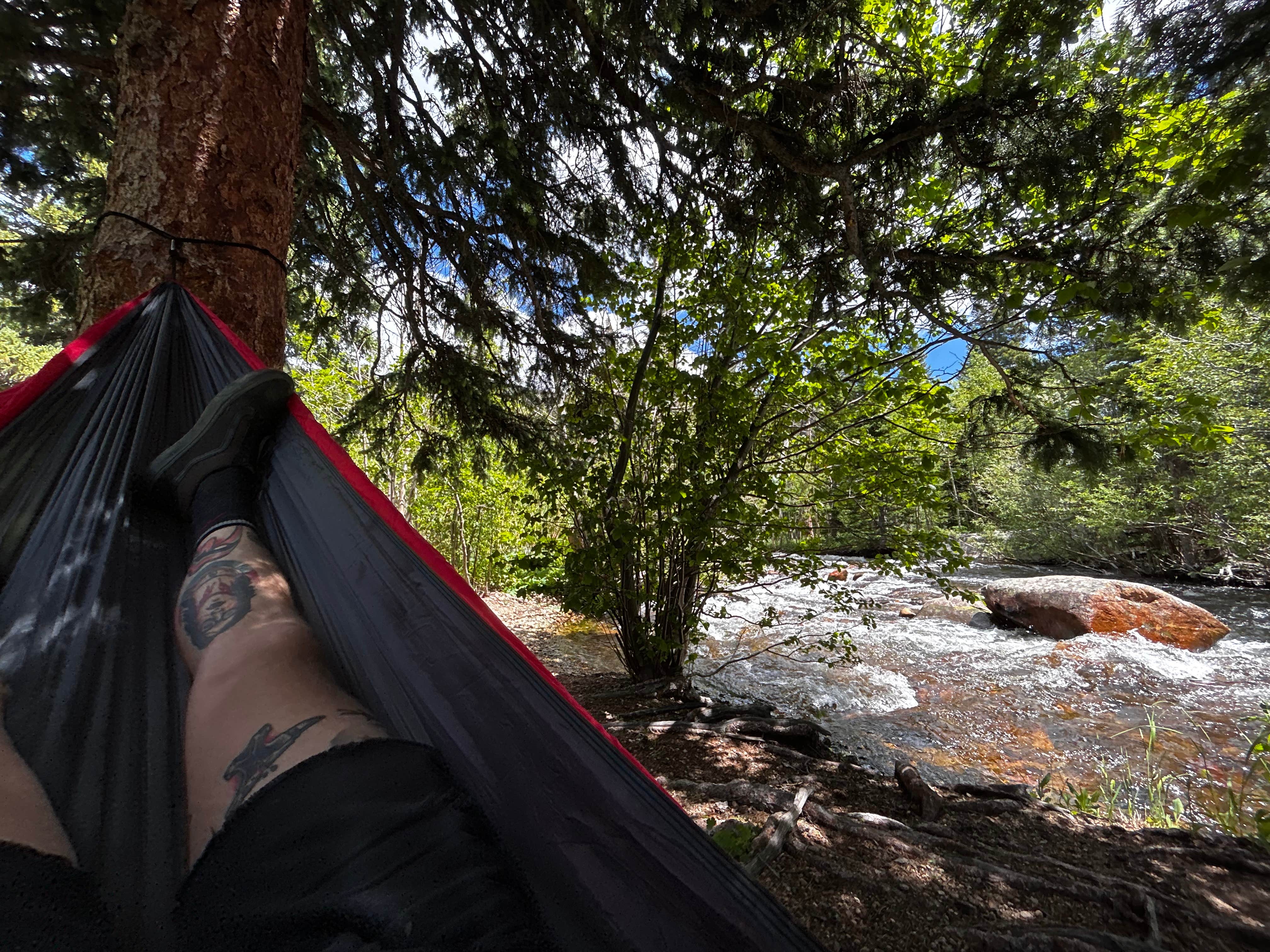 grant W.'s photo at Peaceful Valley near Allenspark, CO