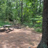 Review photo of Hancock Recreation Area Beach & Campground by John E., July 8, 2023