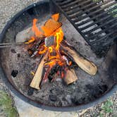 Review photo of Carpios Ridge Campground — Trinidad Lake State Park by laura S., July 8, 2023