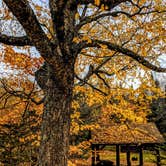 Review photo of Katahdin Stream Campground — Baxter State Park by Shari  G., October 22, 2018