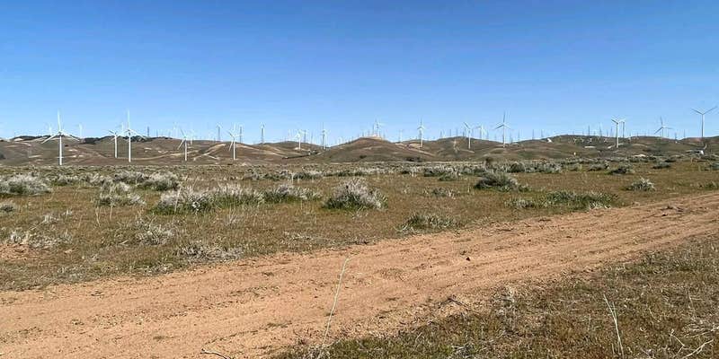 Camper submitted image from Field Exploration Kern County