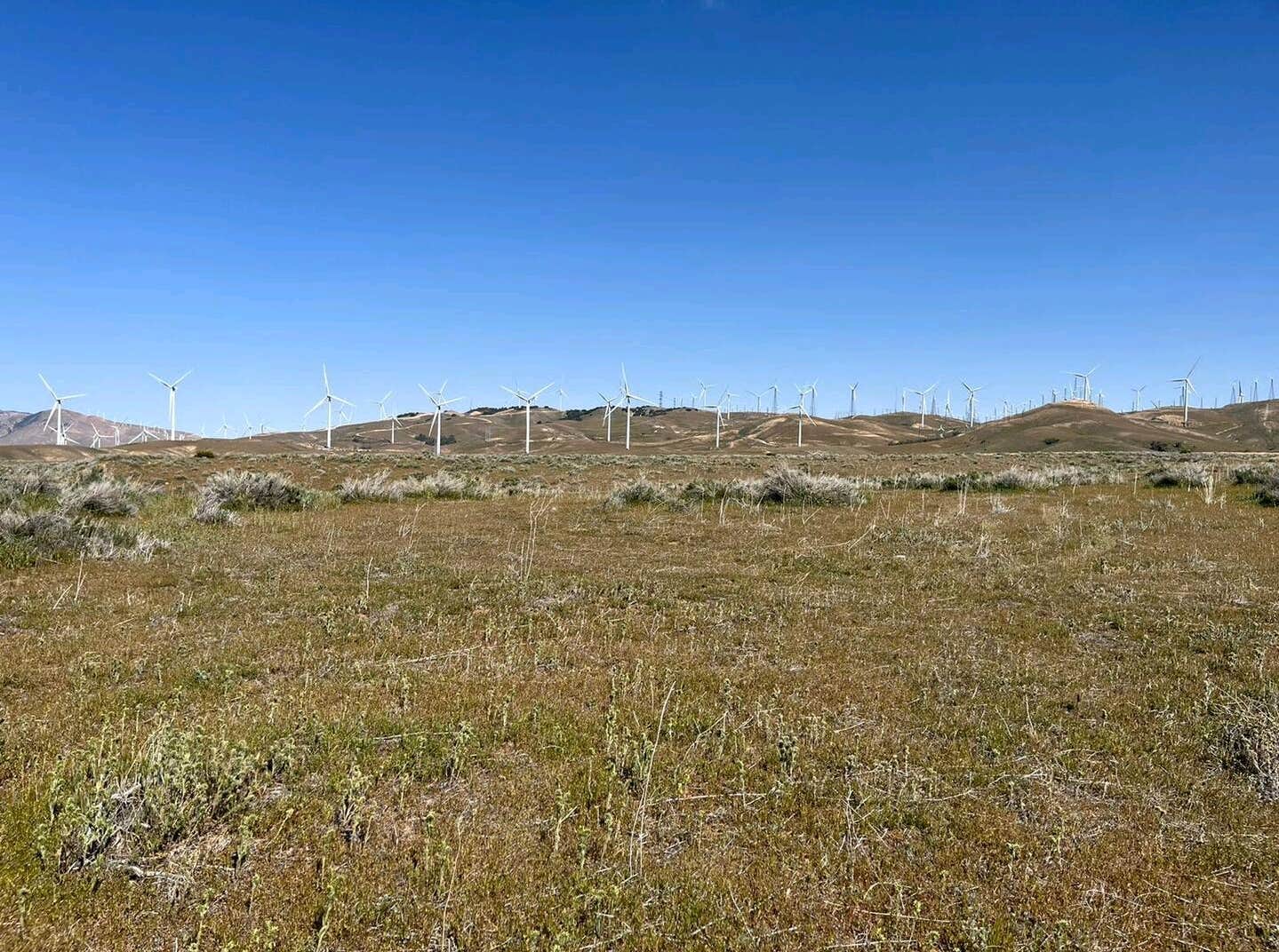 Camper-submitted photo at Field Exploration Kern County near Mojave, CA