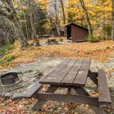 Review photo of Katahdin Stream Campground — Baxter State Park by Shari  G., October 22, 2018