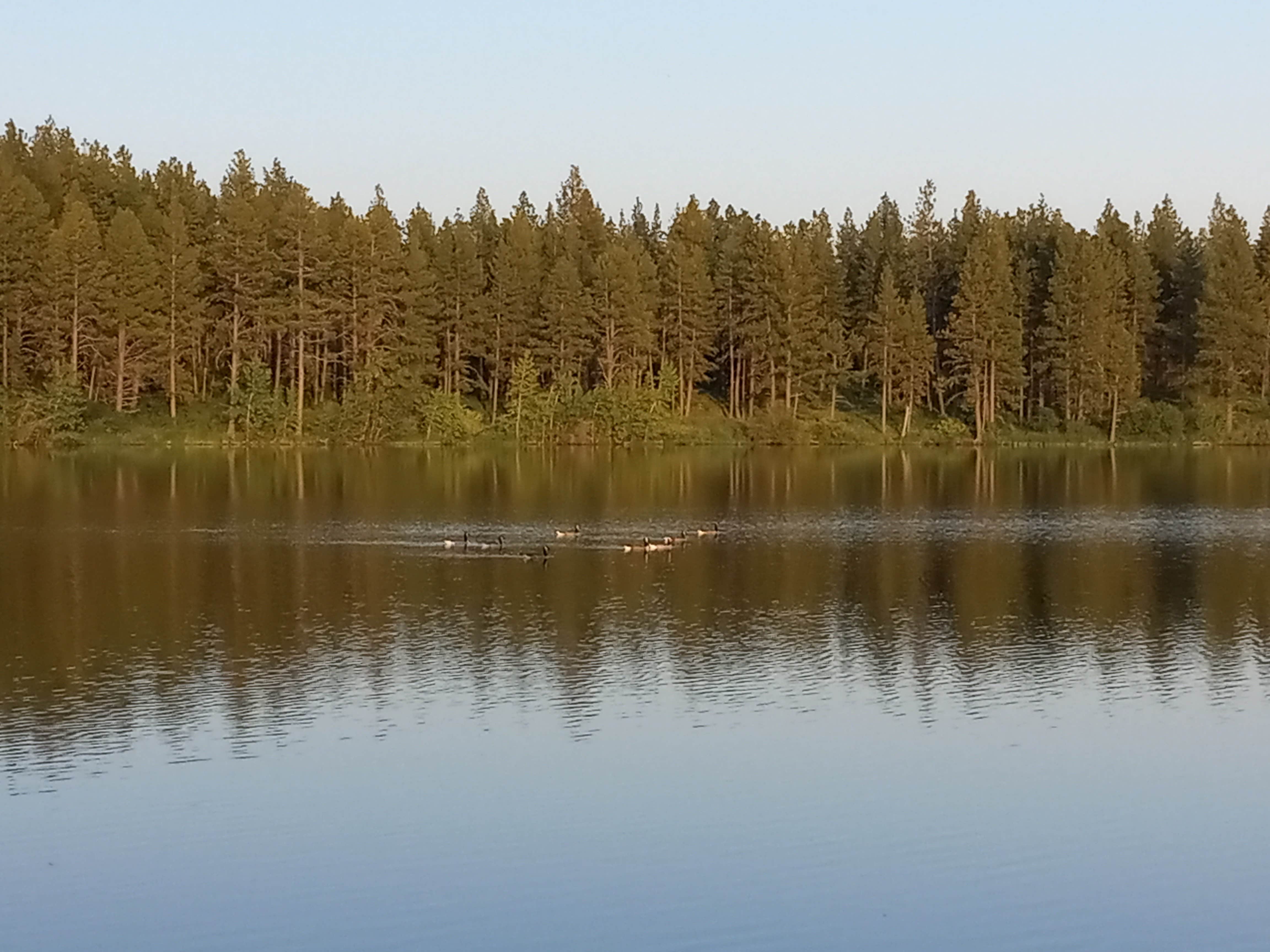 Camper-submitted photo at Morgan Lake - TEMPORARILY CLOSED near Cove, OR