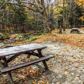 Review photo of Katahdin Stream Campground — Baxter State Park by Shari  G., October 22, 2018