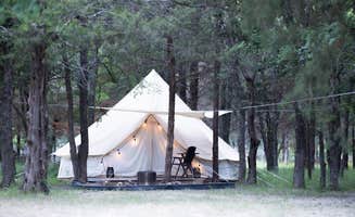 Branch Out Glamping's photo at Purdon Groves near Mexia, TX