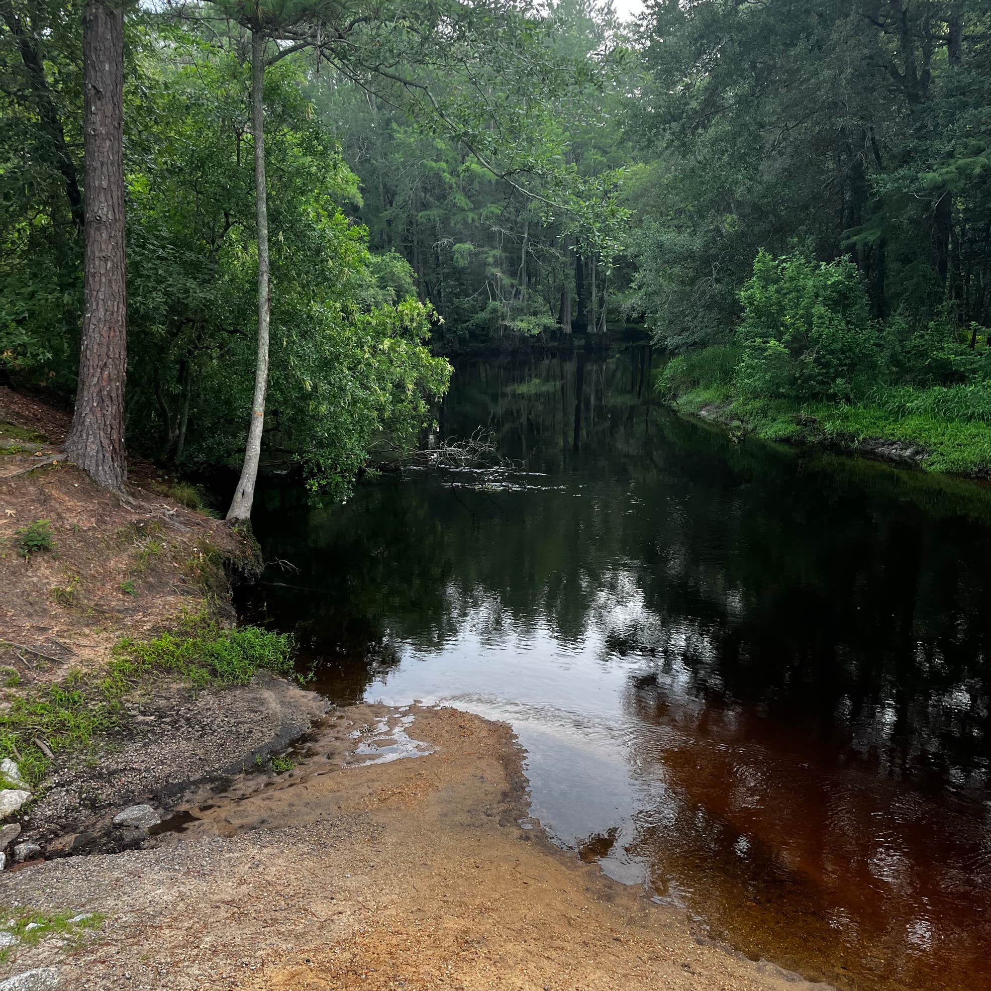 Chalk Banks — Lumber River State Park Camping | Wagram, North Carolina