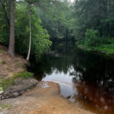 Review photo of Chalk Banks — Lumber River State Park by Bruce H., June 30, 2023