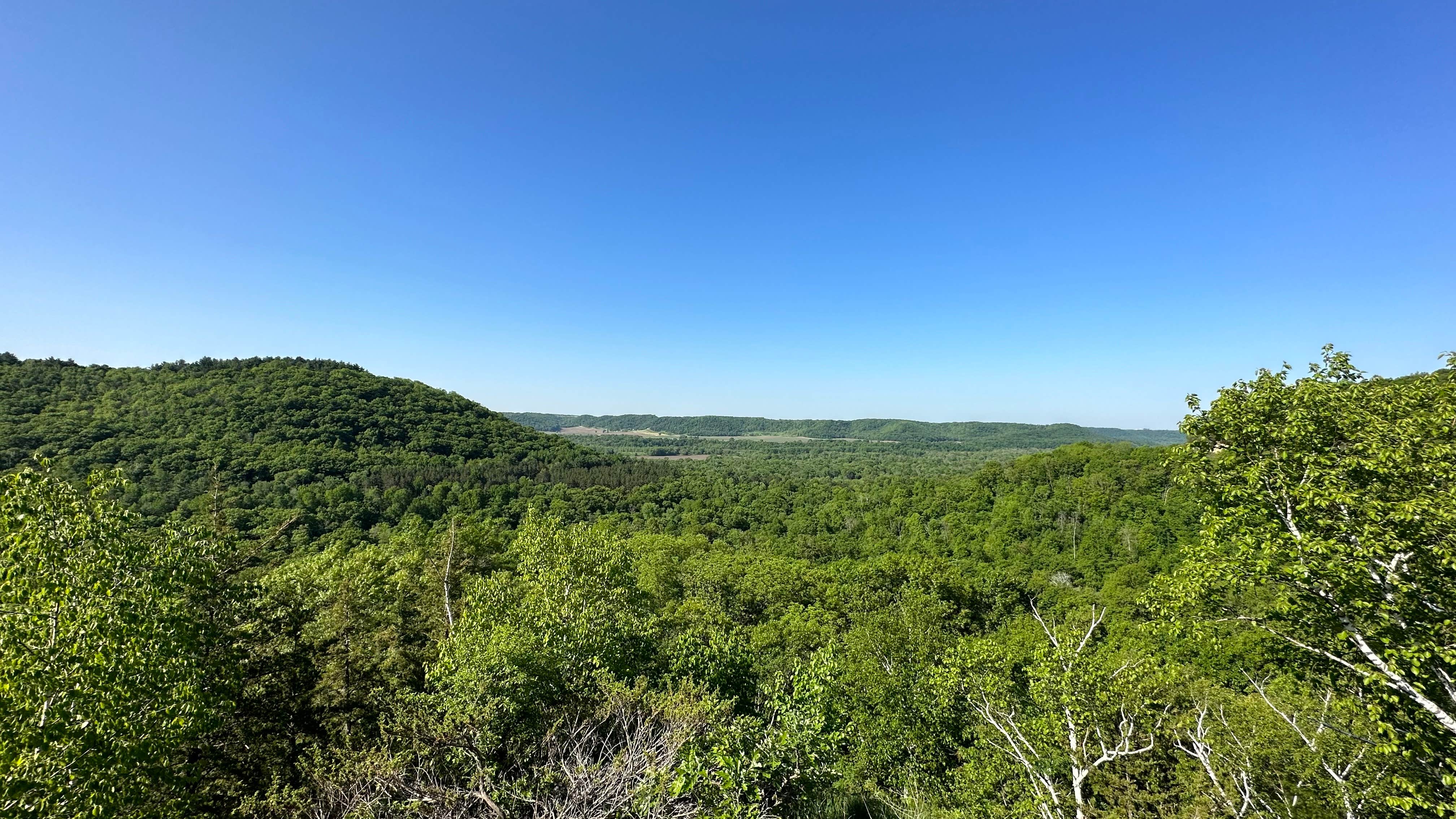 Camper submitted image from Kruger Unit - RJD Memorial Hardwood State Forest - 2