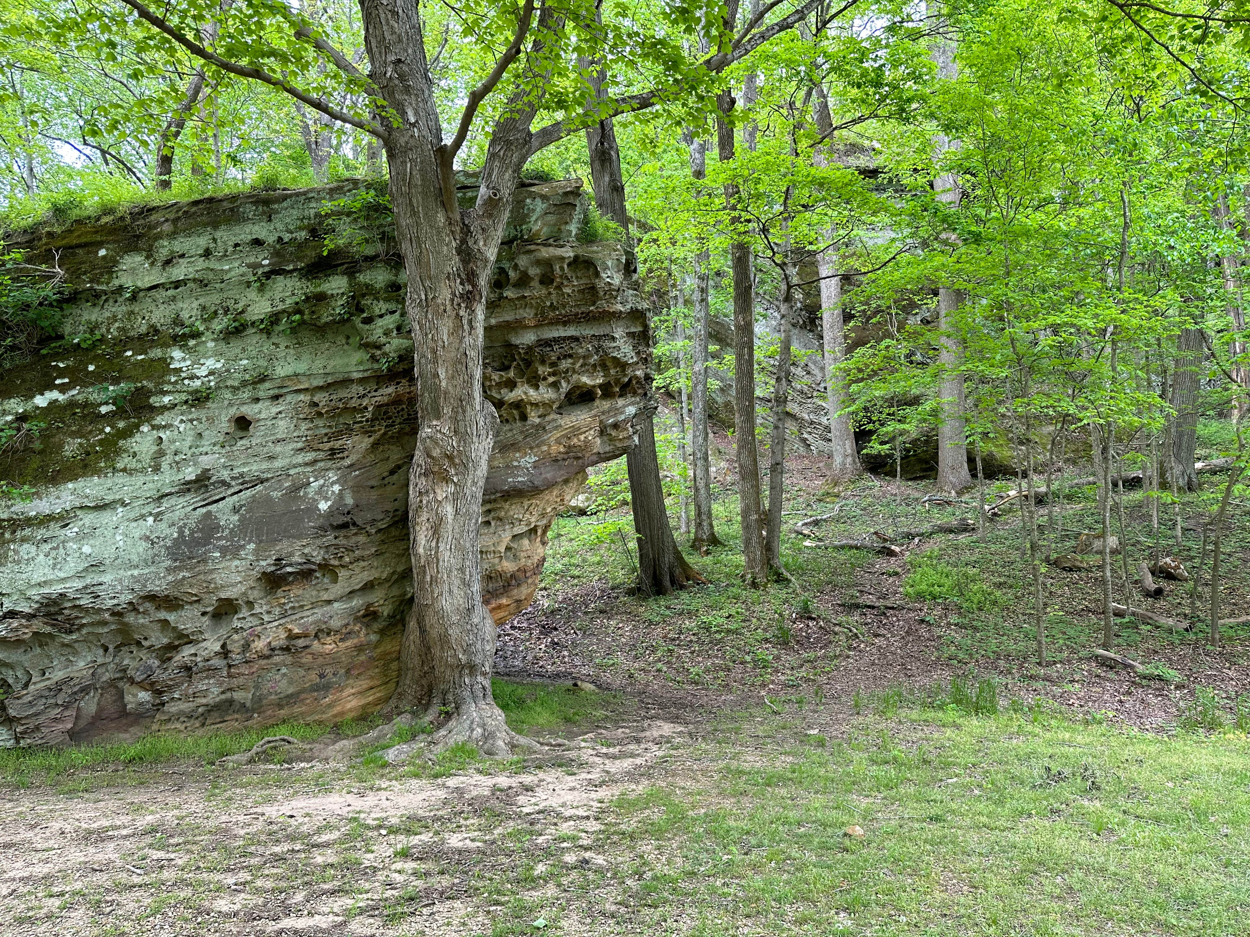 Camper-submitted photo at Group Campground — Ferne Clyffe State Park near Goreville, IL