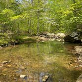 Review photo of Group Campground — Ferne Clyffe State Park by Chris D., July 8, 2023