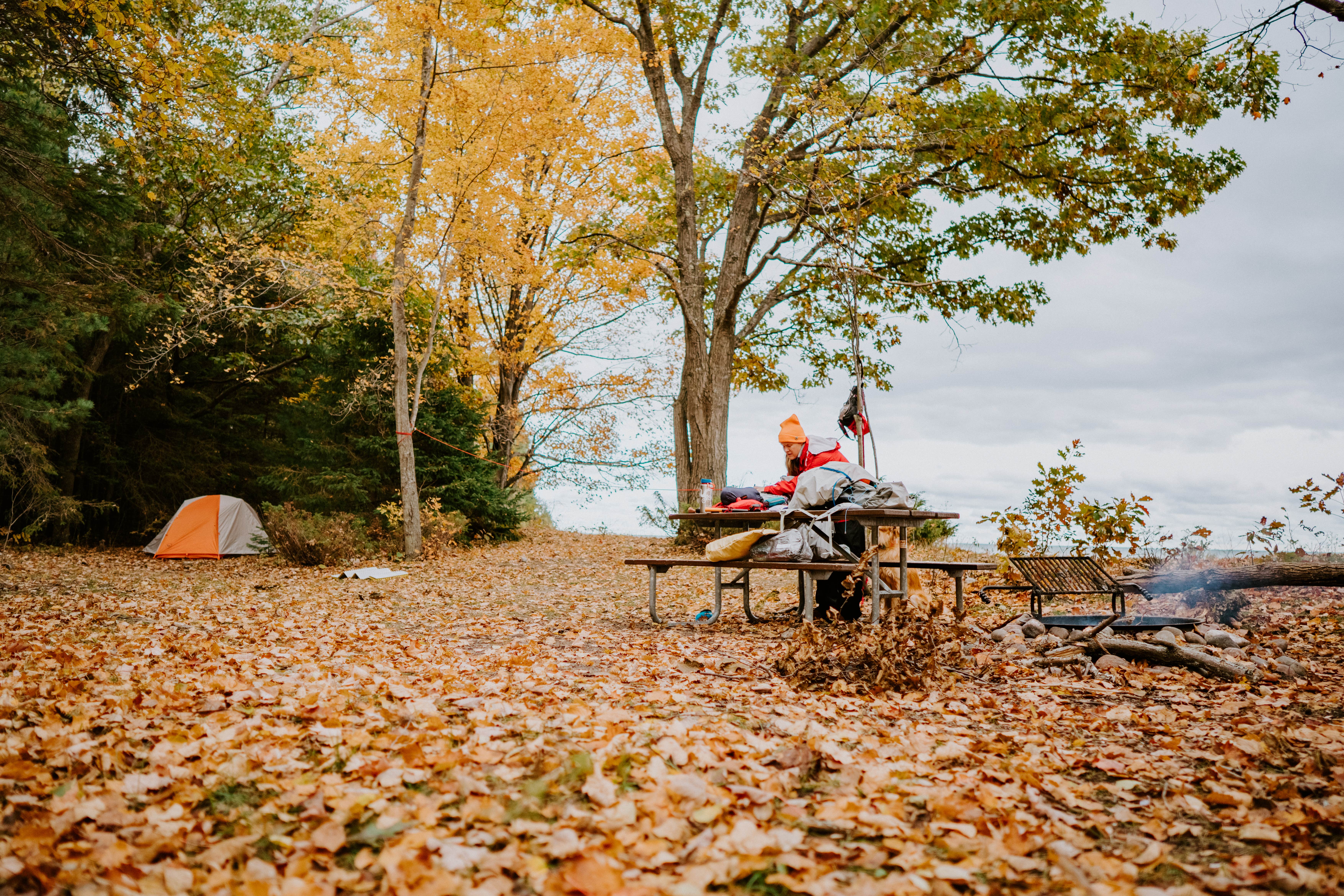 Camper submitted image from Negwegon State Park Campground - 5